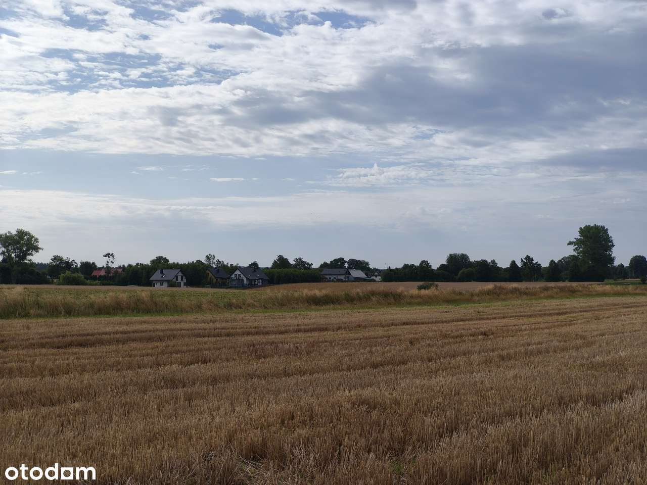 Ta działka to nie tylko kawałek ziemi... - Pełny obrazek: 5/11