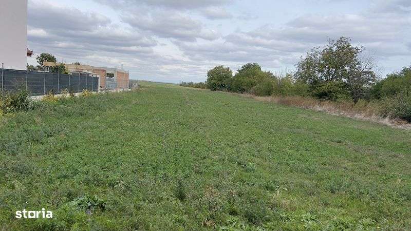 Teren Intravilan - Imagine principală: 4/4