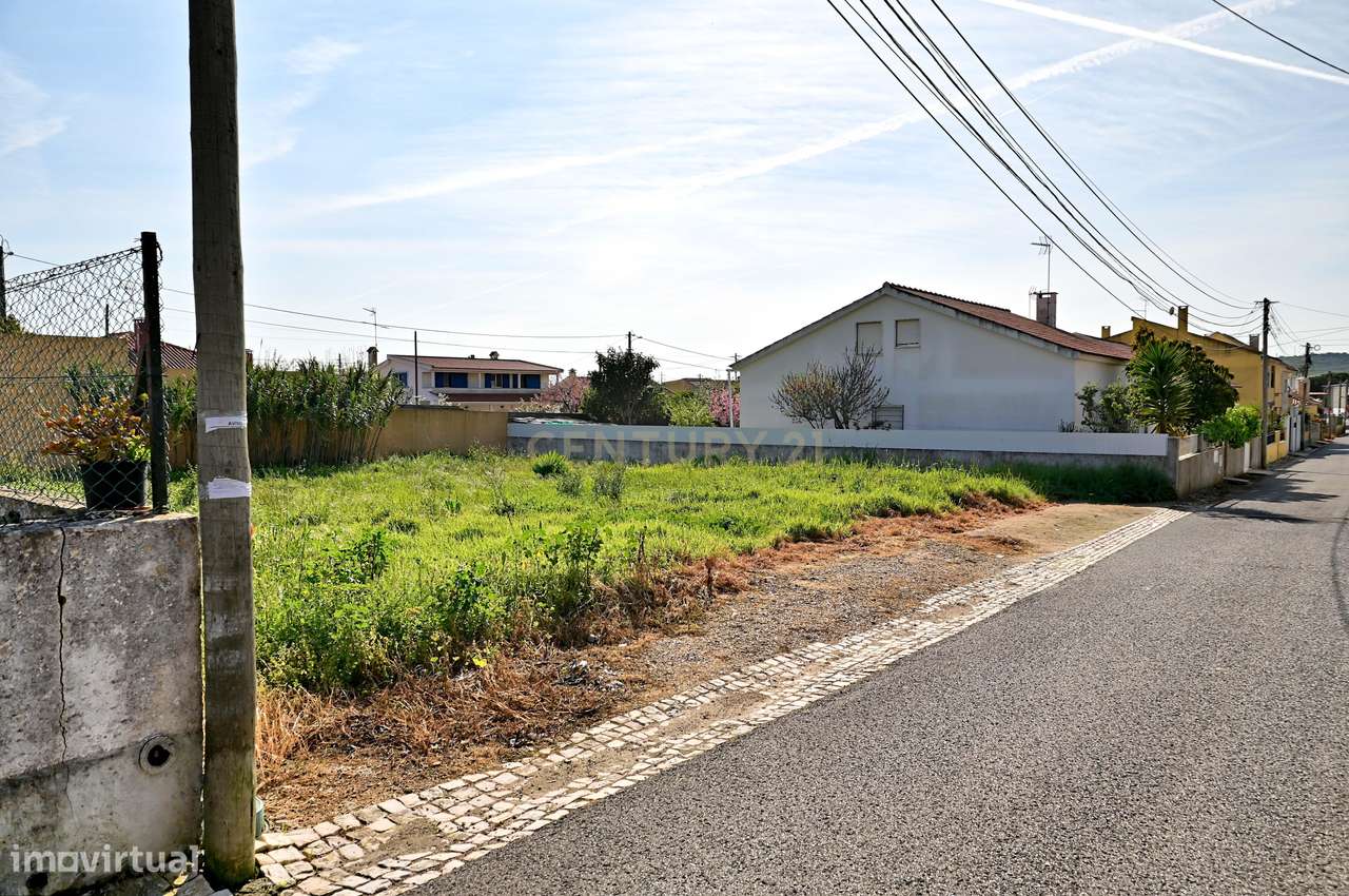 Terreno urbano em consolidação – oportunidade de valorização em Cabra-6