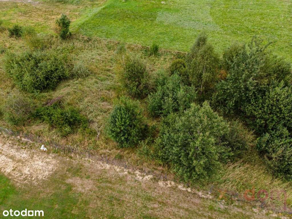 Działka/Działki w Ciekotach idealne pod inwestycje - Pełny obrazek: 5/6