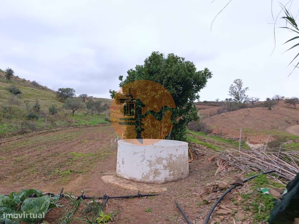TERRENO COM 35.120 M2 - POÇO - ÁGUA - COM POSSIBILIDADE DE CONSTRUI... - Grande imagem: 5/43