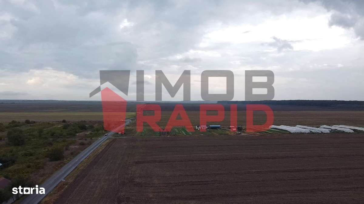 De vanzare 40.000 mp teren extravilan, arabil în Piteasca jud. Ilfov - Imagine principală: 4/8