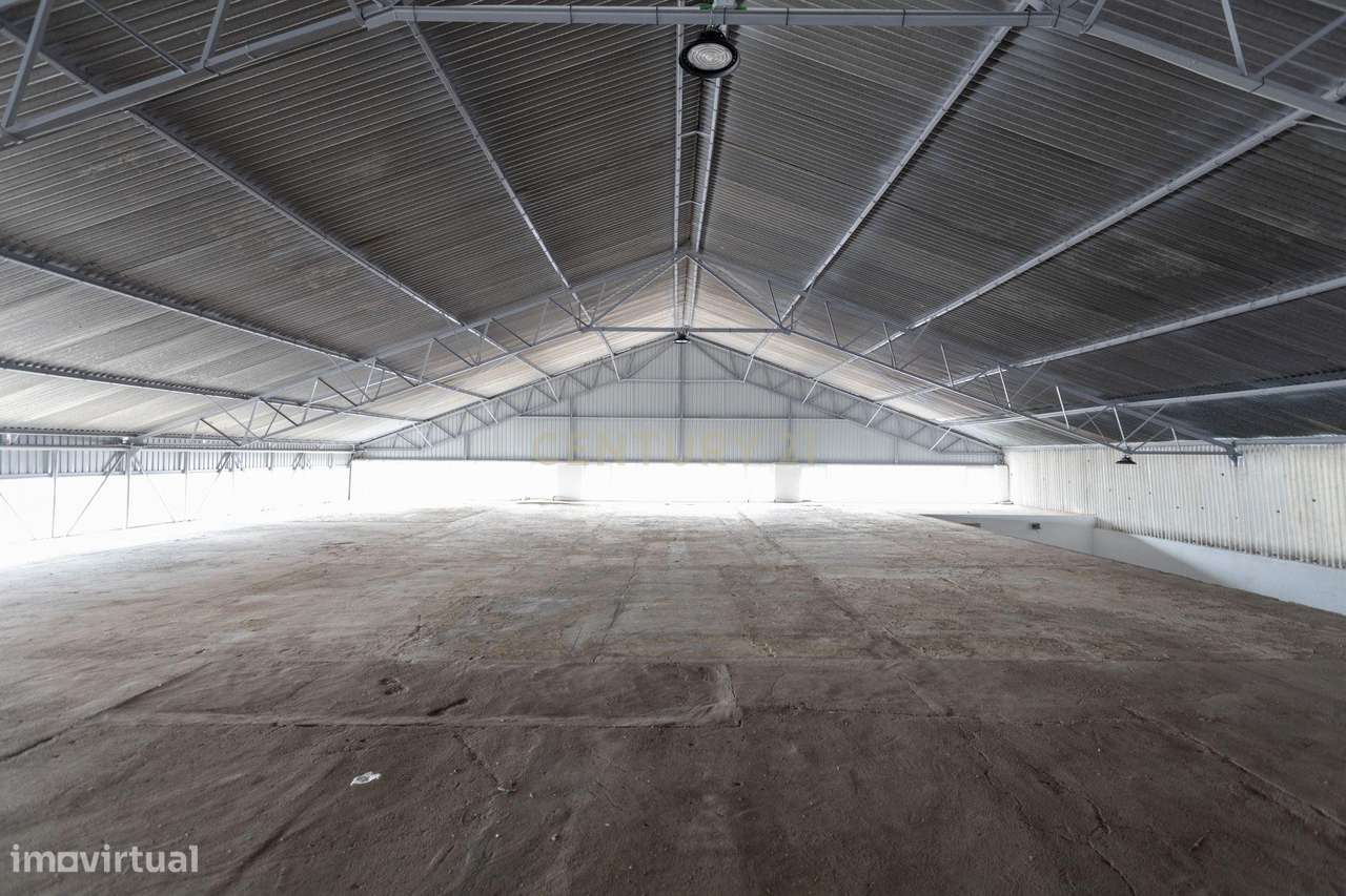 Armazéns Novo | Vendas de Azeitão | Unidade 2 - Grande imagem: 5/10