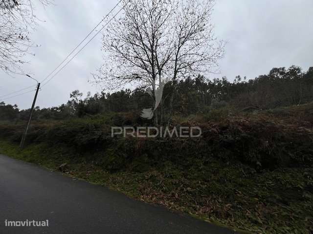 Terreno com 1.670 m² para moradia em Gême, Vila Verde - Grande imagem: 4/5