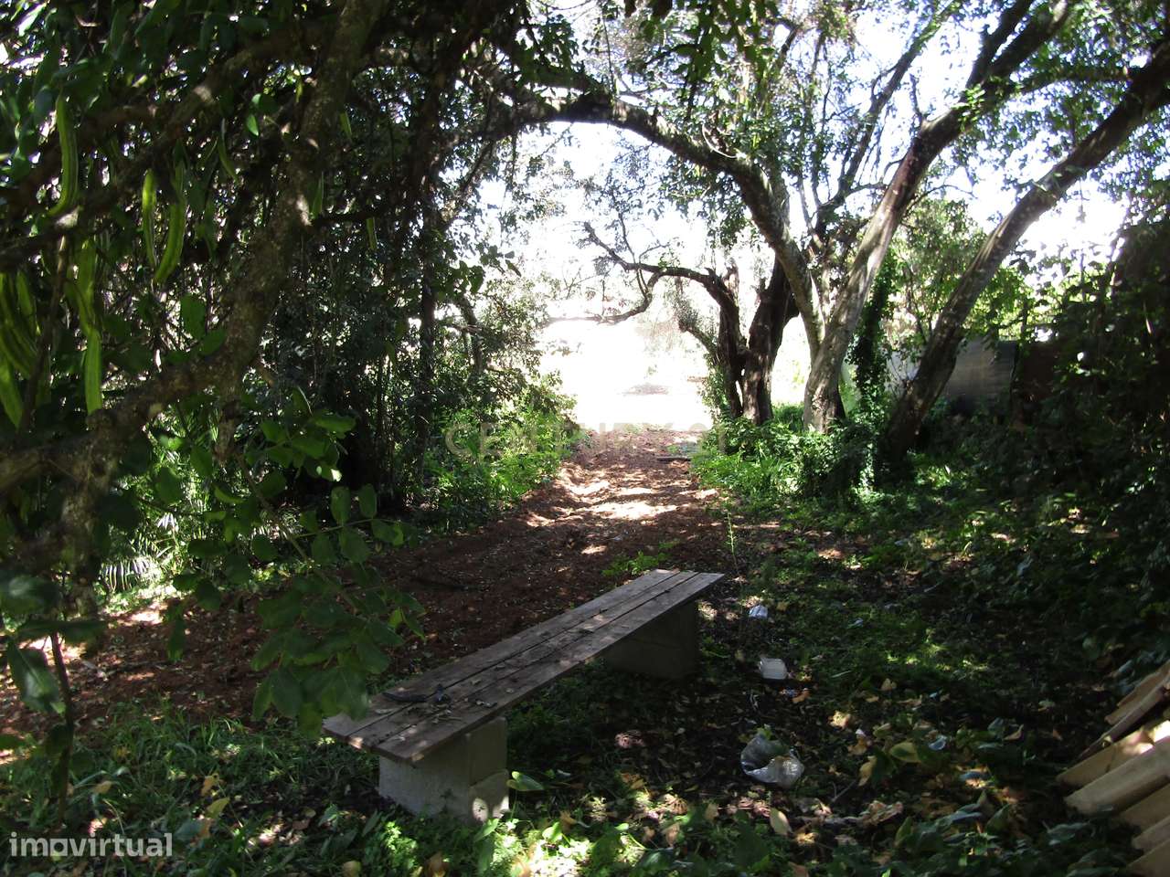 Terreno Rústico em Boliqueime - Grande imagem: 4/5
