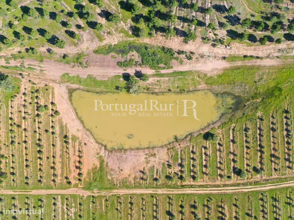 Herdades de Caça com 1300 Hectares, junto do rio Guadiana-29