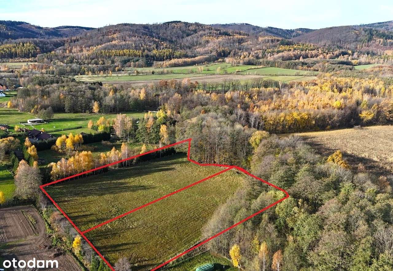 Działka budowlana o pow. 5000 m2/warunki zabudowy! - Pełny obrazek: 2/7