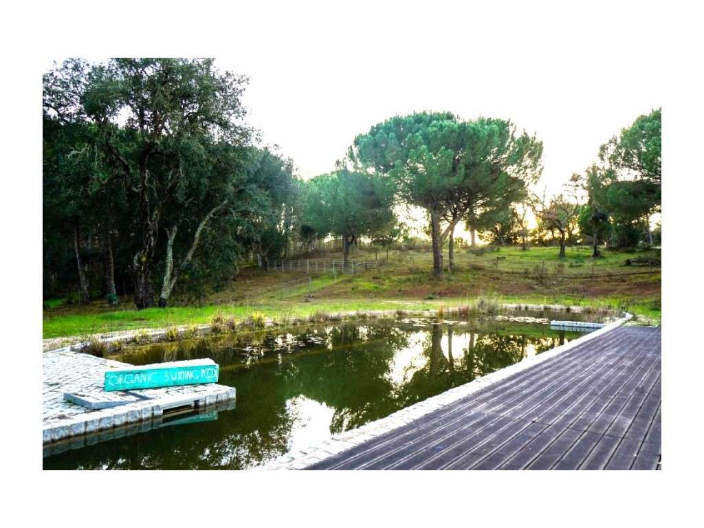 Monte Alentejano com 8,2 Hectares - Um Paraíso de Natureza e Sereni... - Grande imagem: 3/60