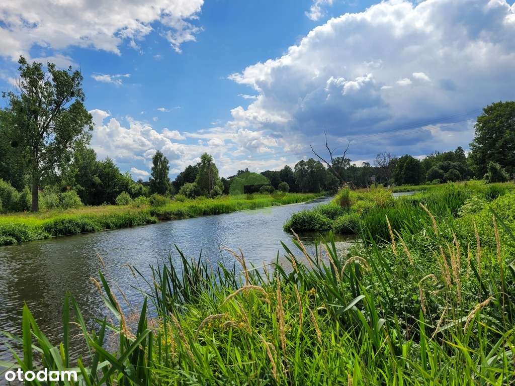 Dom w pobliżu rzeki i lasów - Pełny obrazek: 5/20