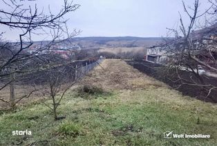 Teren intravilan - Oasului, casa individuala/duplex, LiR