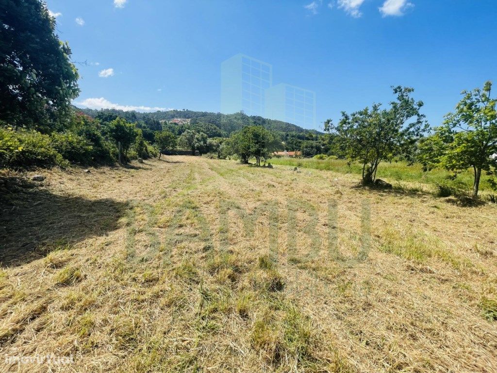 Terreno de construção em Moledo