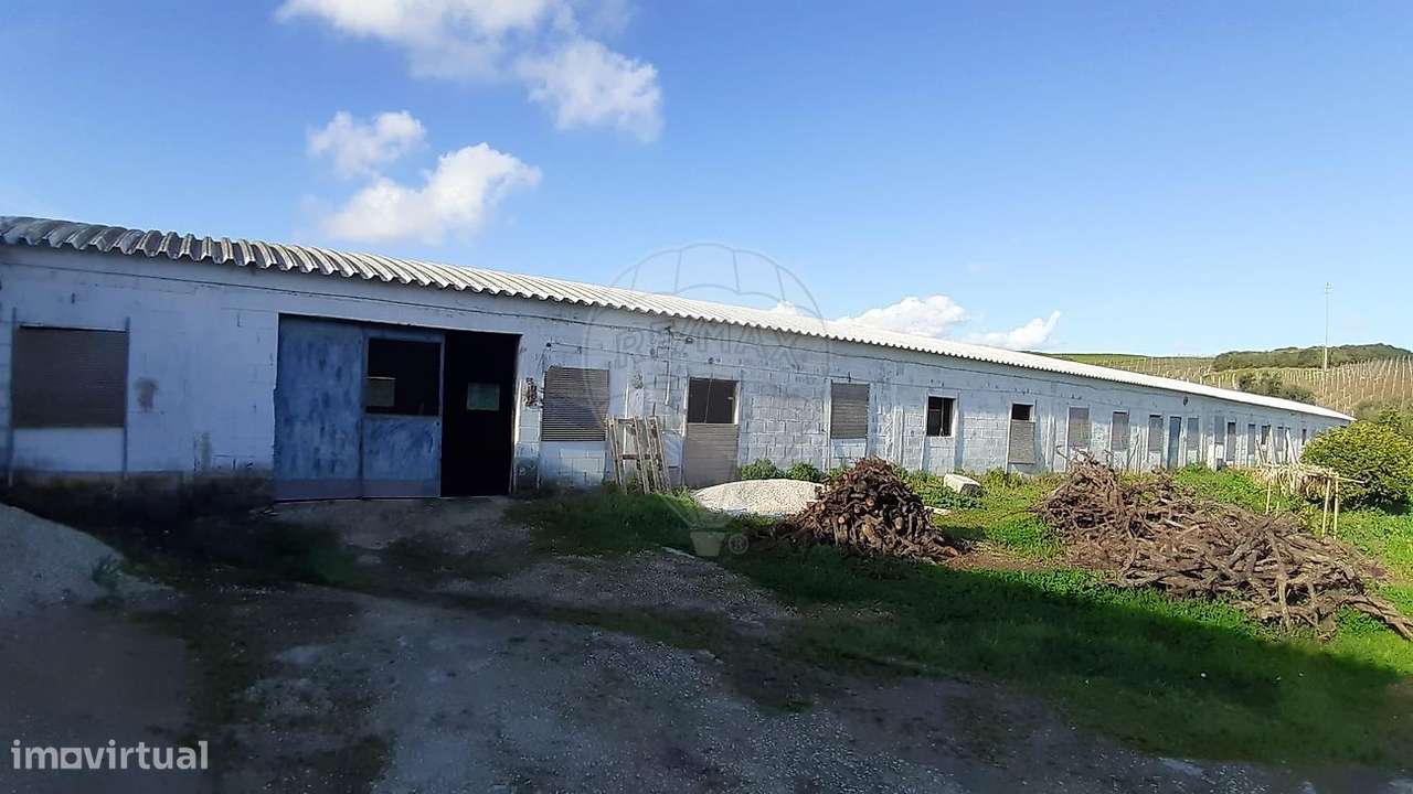 Armazém  para arrendamento - Grande imagem: 3/11