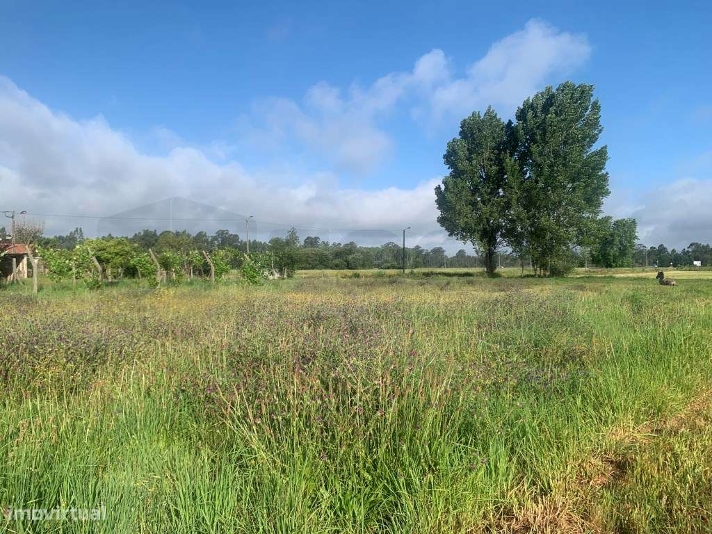 Terreno para construção em Estarreja - Grande imagem: 5/10