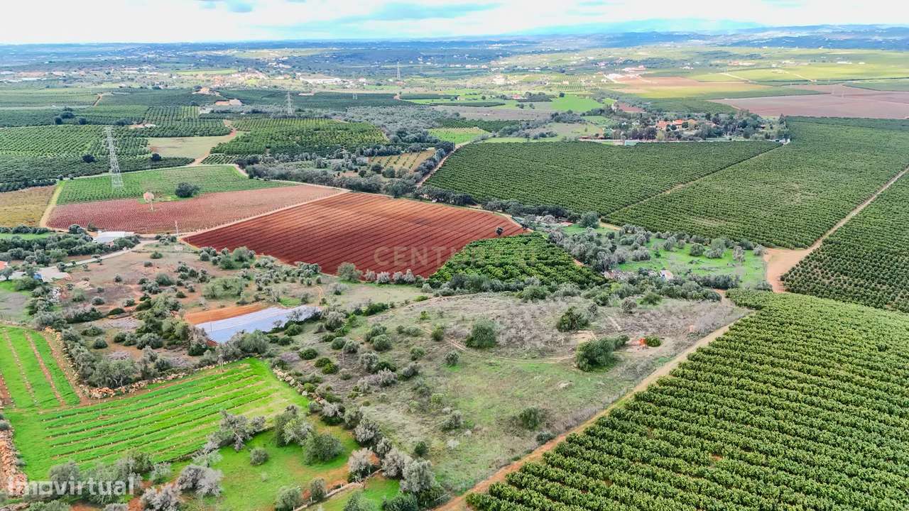 Terreno Rústico com Luz e Água entre Algoz e Tunes - Grande imagem: 1/17