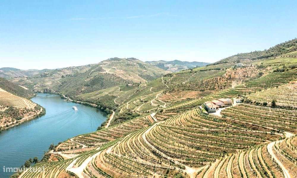 Terreno  Venda em Alpendorada, Várzea e Torrão,Marco de Canaveses-1