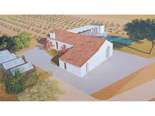 Herdade de 28.000m2 com vinha moscatel e habitações-26