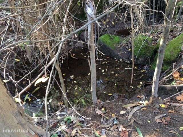 Quinta do Barreiro com 2 Casas para Recuperar-24