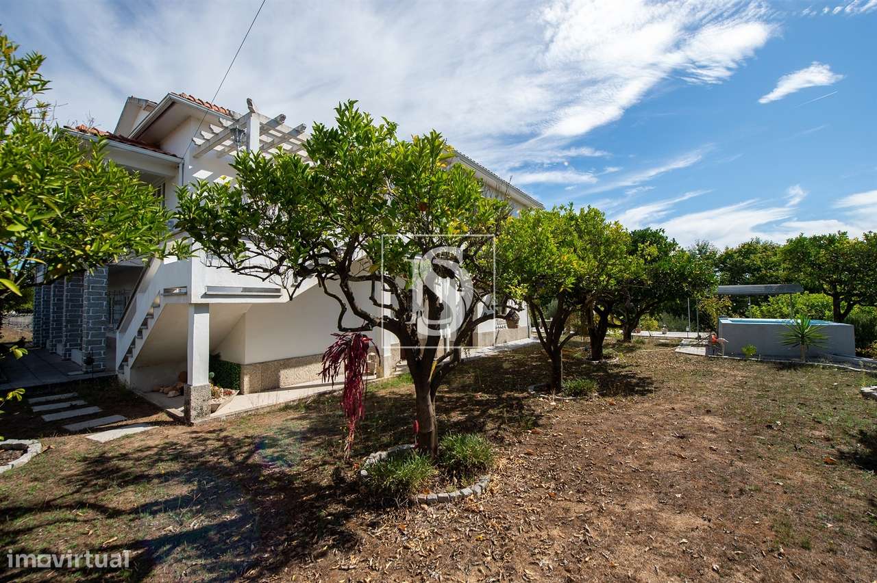 Quinta T6 Venda em Santa Comba Dão e Couto do Mosteiro,Santa Comba Dão-44