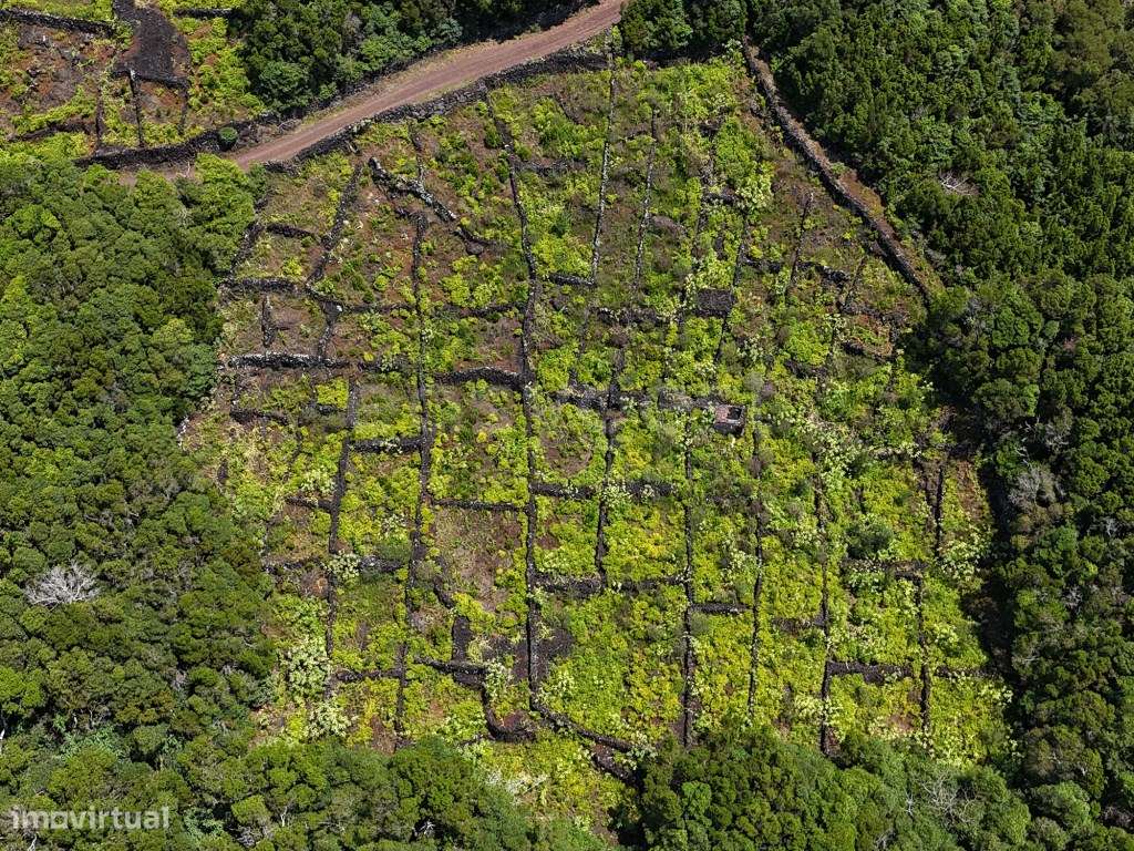 Terreno com Vista Mar Panorâmica em São Mateus - Grande imagem: 5/11