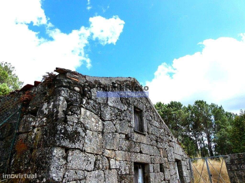 34.000m2 de terreno (Quinta) e 2 Ruínas a 8 minutos do Rio Douro. P... - Grande imagem: 4/9