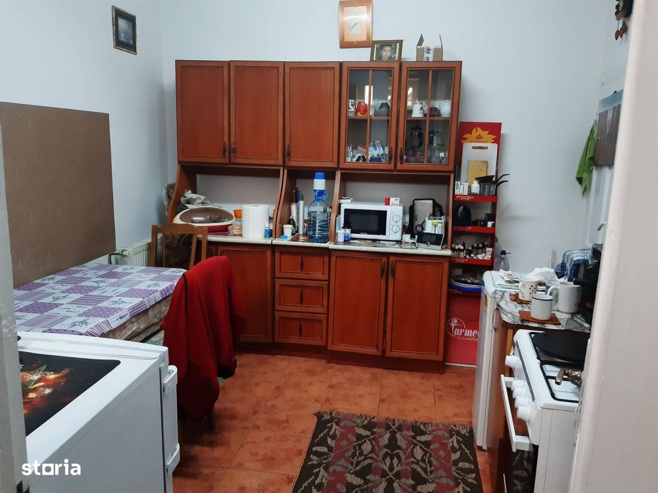 Apartament cu o camera si gradina in zona Semicentrala