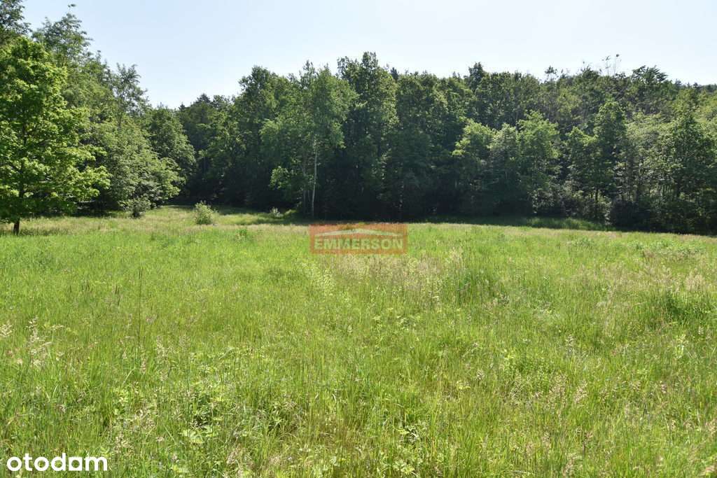 Na sprzedaż duża działka  komercyjna pod lasem !!! - Pełny obrazek: 4/4