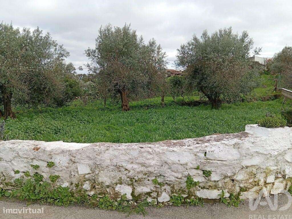 Terreno Agrícola em Ameixial - Grande imagem: 3/4