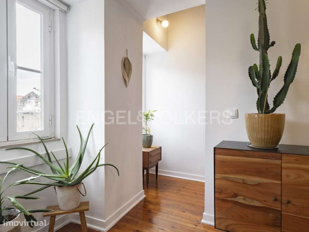 Prédio remodelado em Belém - Grande imagem: 3/29