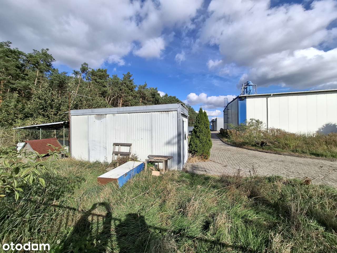 hale produkcyjne i magazyny w Dzierżowie obok Gorzowa Wielkopolskiego-13