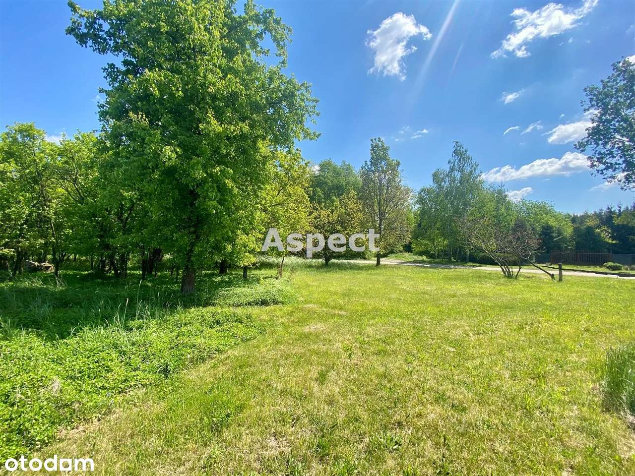 Działka położona tuż przy lesie - Pełny obrazek: 4/6