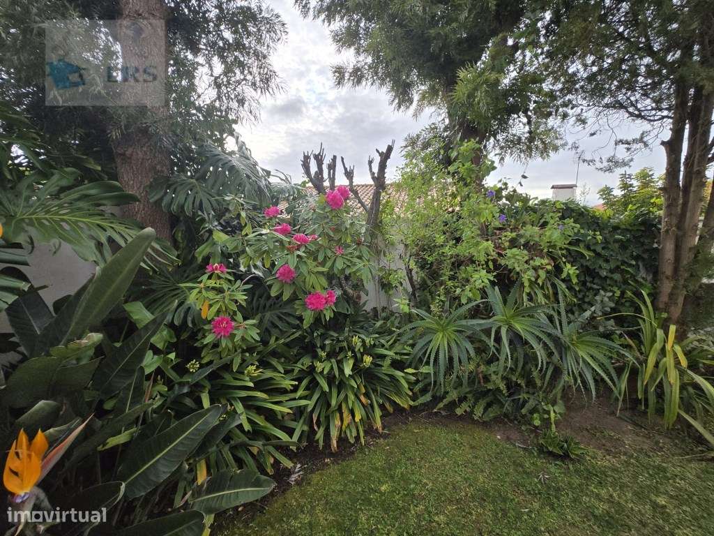 Cobre - Zona Central, perto do centro de Cascais e de varias locali...-30