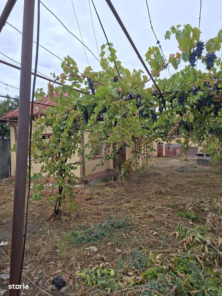 Casă Cernele - Imagine principală: 4/5