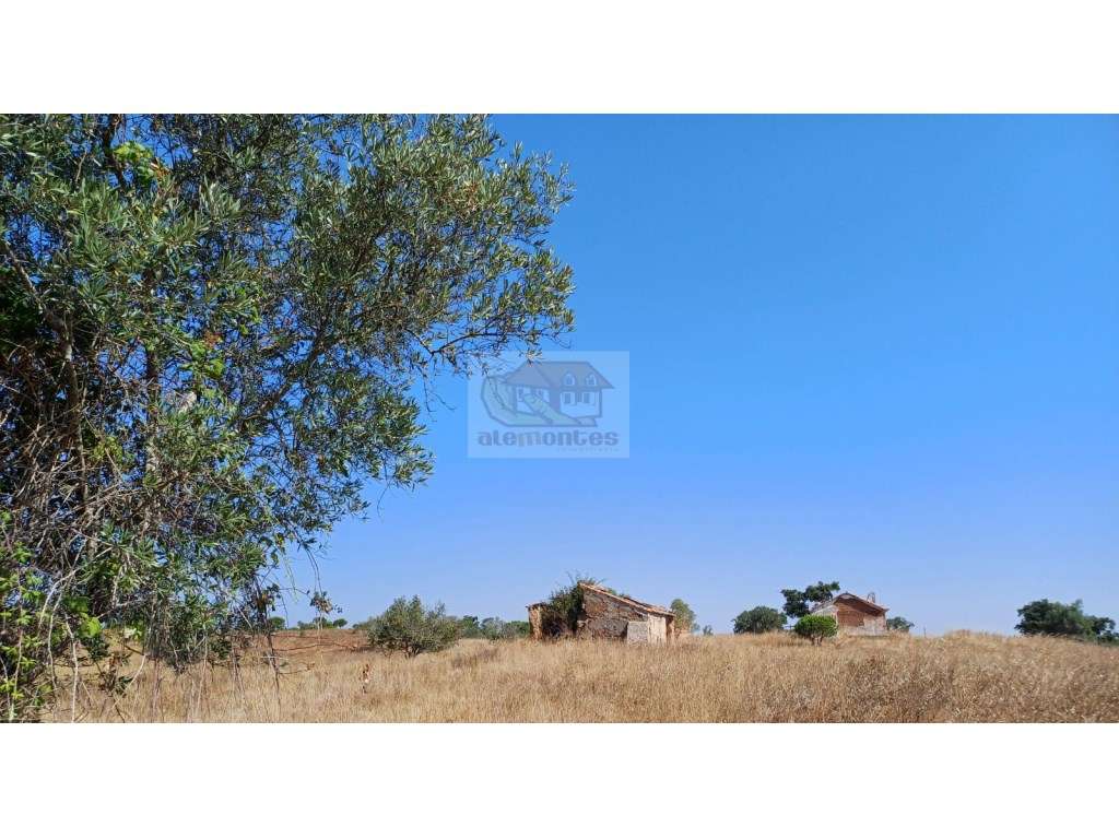 Monte Alentejano com várias ruínas para recuperar - 20 minutos Lago...-12