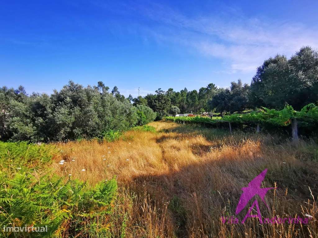 Terreno 2814M2, um refúgio natural a poucos minutos da cidade. - Grande imagem: 4/8