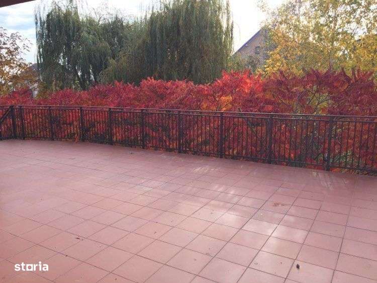 Imobil versatil cu multiple posibilitati de utilizare,550mp,Zona Buna - Imagine principală: 2/7