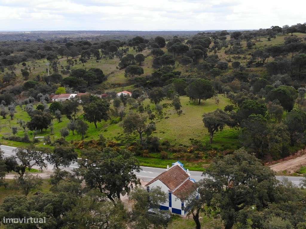 QUINTA COM 5HA DE TERRENO COM 500M2 URBANO - GALVEIAS - PONTE DE SOR-25