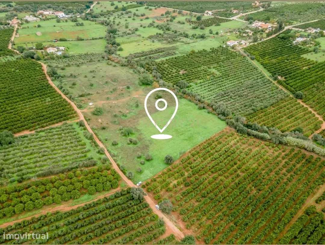 Terreno rústico | 6.960m2 | Castelos -Algoz - Grande imagem: 2/11