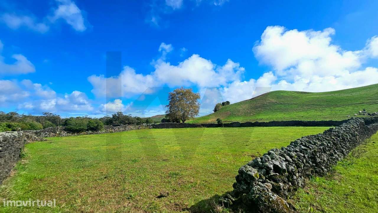 Terreno Rústico com 8.780 m2 localizado no Pico do Alho - Ribeira Gran - Grande imagem: 4/14