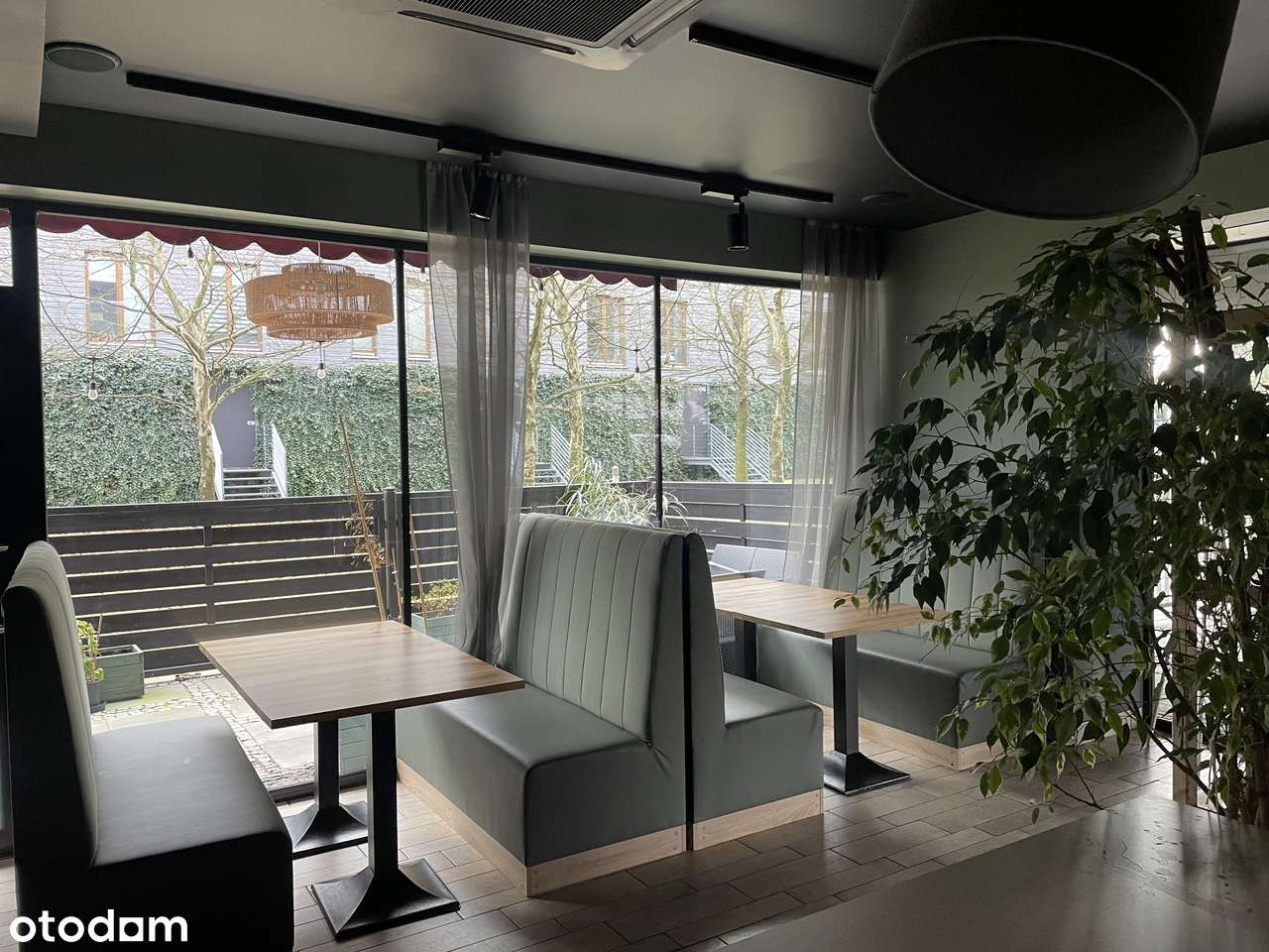 oferta sprzedaży lub najmu lokalu wykończonego - Pełny obrazek: 2/7