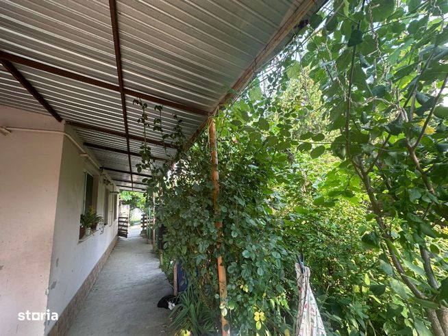Casa si teren zona teatrul Maior Gheorghe Pastia, Focsani, jud Vrancea-4
