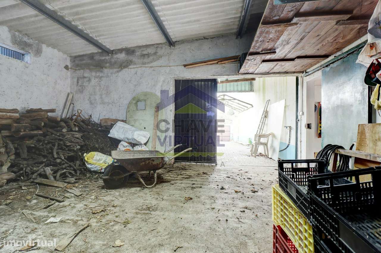 Excelente Moradia V3 Carvalhal-46