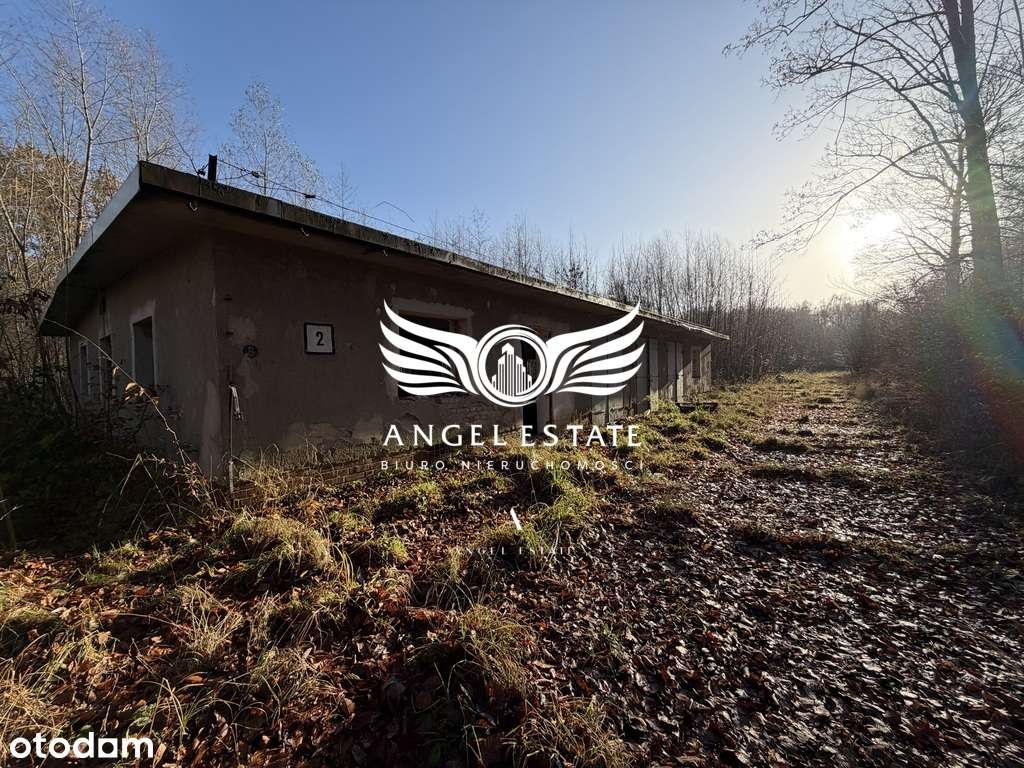 Ogrodzona działka 22 ha z prądem - Pełny obrazek: 4/6