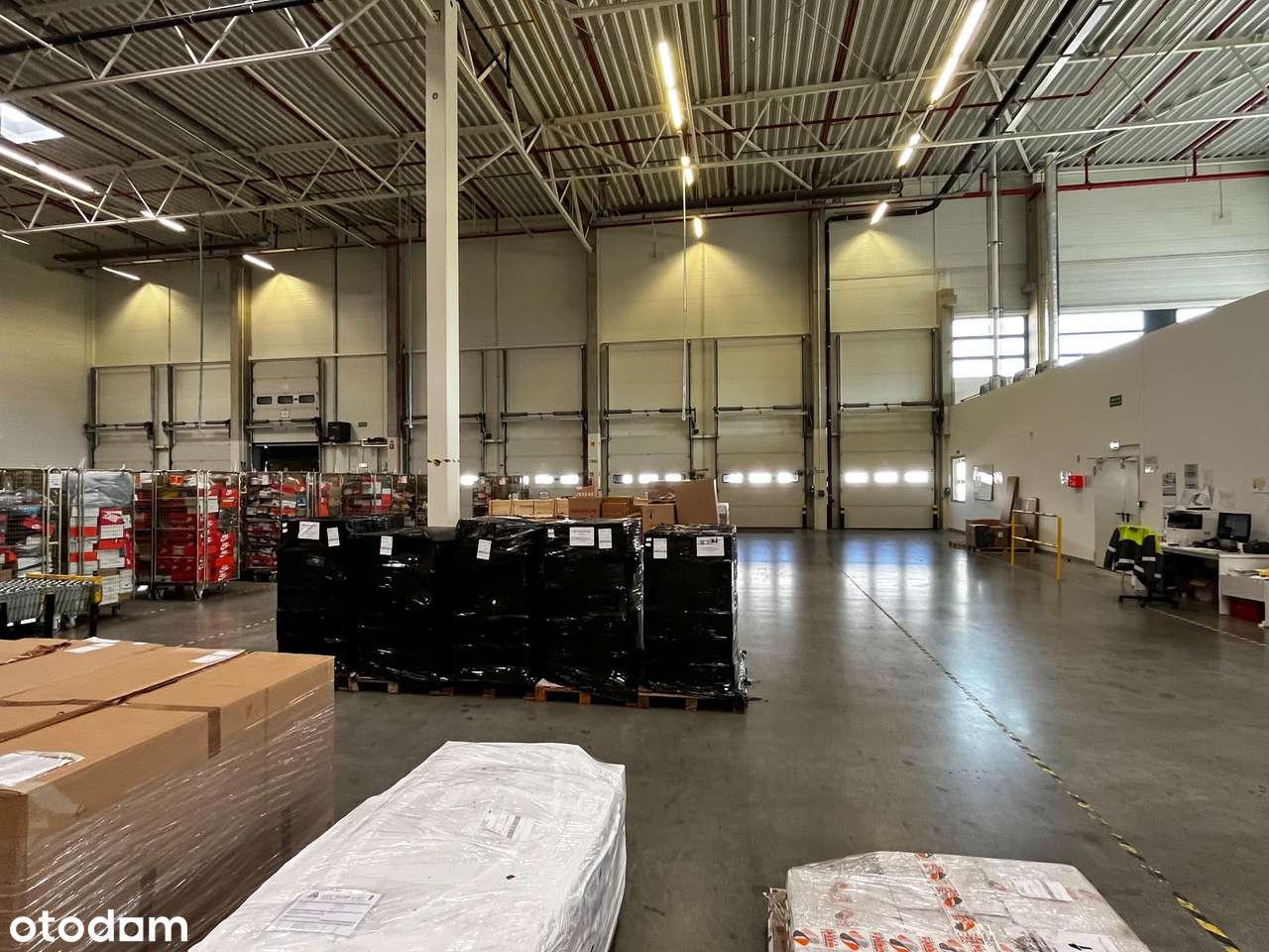 Magazyn - Chorzów 300m2 - Pełny obrazek: 3/6