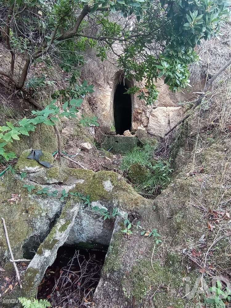 Terreno Agrícola em Sendim-10