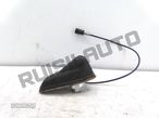 Antena 96661_54380-03 Citroen C3 Ii [2009_2017] - 1