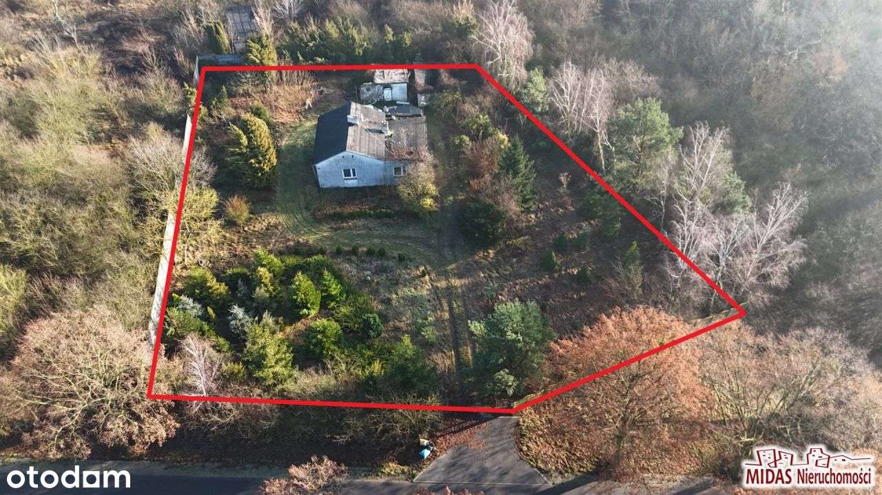 Dom do remontu na ładnej działce-1