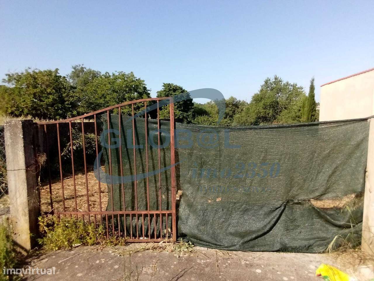 Terreno rústico em Torres Novas - Grande imagem: 5/9