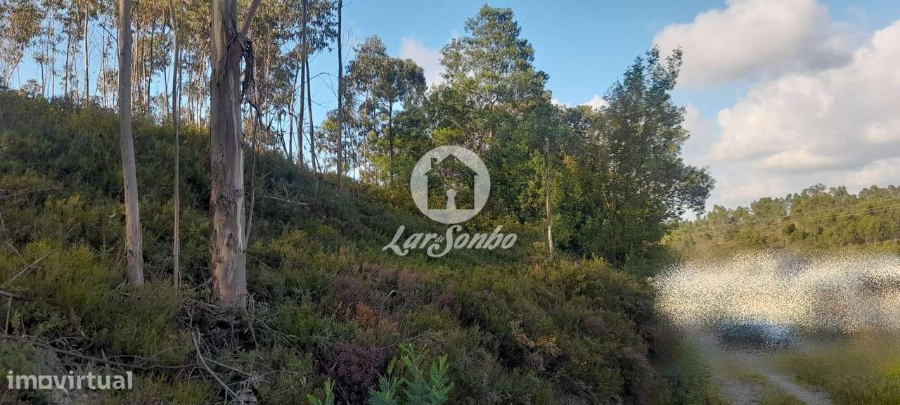 Terreno Industrial COM 20.000m2 - Trofa - Grande imagem: 4/33