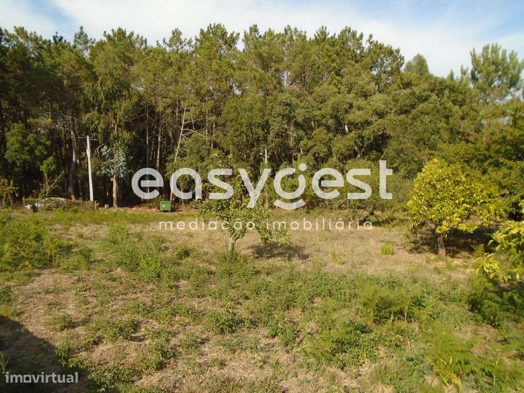 Terreno com 1280m2 para construção na Ferraria de Pataias - Grande imagem: 3/18