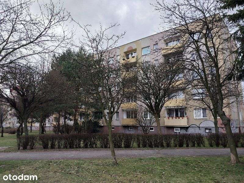 Tysiąclecie, dwupokojowe, PARTER-6